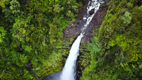 drone going above akaka falls in hawaii