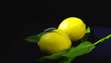 detailed close up of a still green caterpillar atop a peppermint leaf on the backlit vivid yellow lemon while view slowly pulls back. bright citrus fruit with mint stems against black background