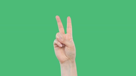 hand showing victory sign gesture for peace on green screen background