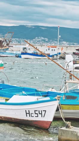 beautiful sailboats moored in the dock