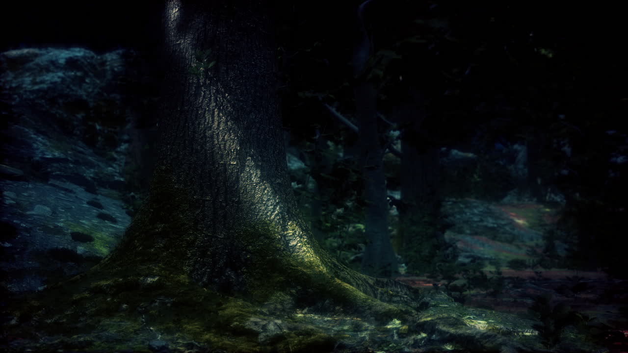 el bosque oscuro y misterioso