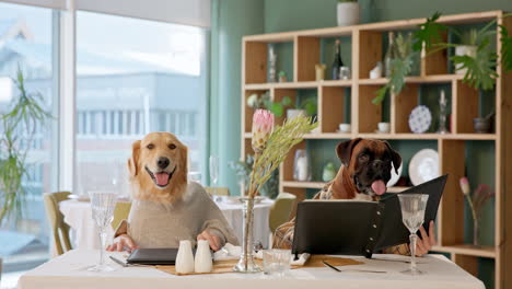 dogs at a fancy restaurant