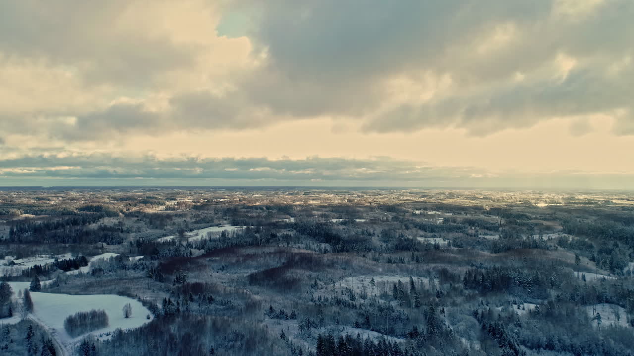 Smukt vinterlandskab med fyrreskov dækket af frisk sne ved solopgang, luftfoto