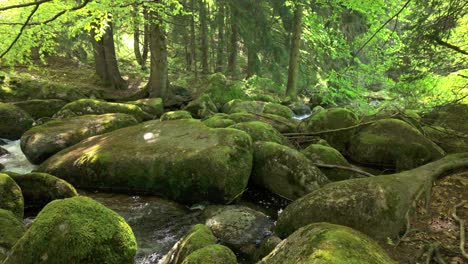 River-flowing-through-a-lush,-green-forest-between-nossy-boulders