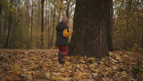 Fröhlicher-Junge-Rennt-Im-Wald-Am-Herbsttag,-Spielt-Und-Freut-Sich,-Berührt-Alten-Baum,-Spaß-Und-Freude-Des-Kleinen-Kindes-An-Der-Natur,-Schöne-Erinnerungen-Aus-Der-Kindheit