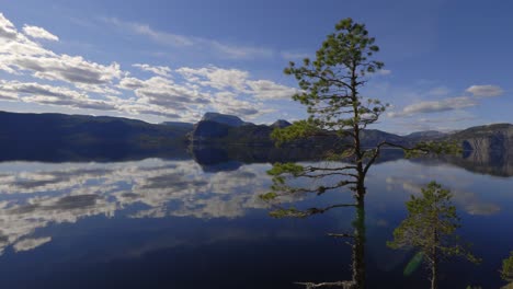 Gebirgszugwolkenreflexion-Auf-Kristallklarem-Nissedal-Seebaumvordergrund