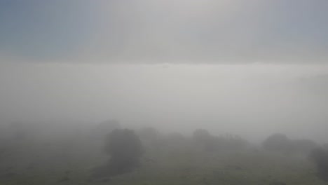 dramatic spooky foggy scenic flight through eerie grey clouds, fog and mist with black birds flying in atmosphere and white hazy sun in background on cloudy day, overhead aerial approach