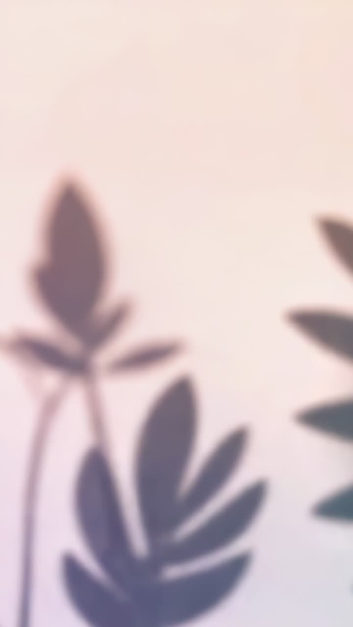 Vertical video: Silhouette appearing, leaf silhouettes growing across pale wall, filling frame