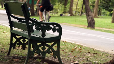 a peaceful weekend morning scene featuring a crowd of people exercising and riding bikes through a lush park