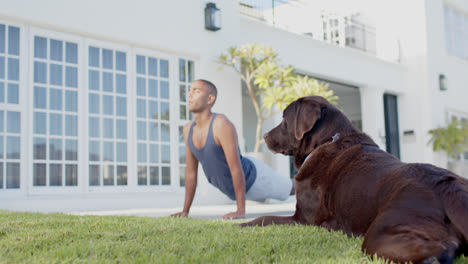 focused biracial man practicing yoga with dog in sunny garden, slow motion