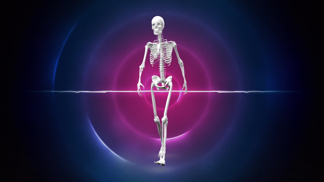 보라색 원 위의 인간 골격의 애니메이션