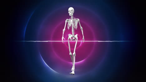 animation of human skeleton over purple circles