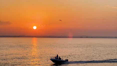 Golden-Hour-Serenity:-Seagull-Soaring-Over-Howth-Pier,-Ireland,-Embracing-Nature's-Beauty-and-Maritime-Tranquility-at-Sunset