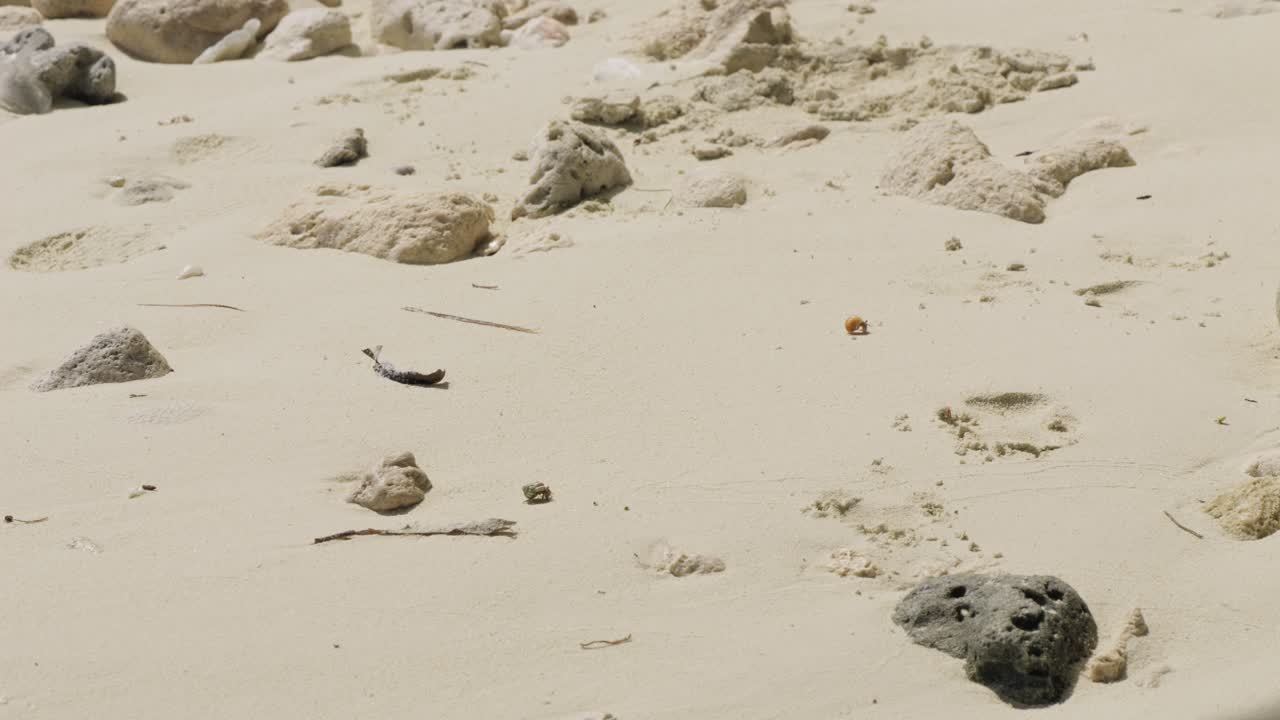 Sandy Beach with Rocks and Footprints