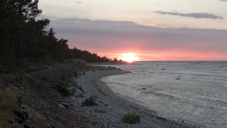 Baltic-seashore-during-sunset,-waves-hitting-the-rocky-beach,-wind-moving-plants-and-trees