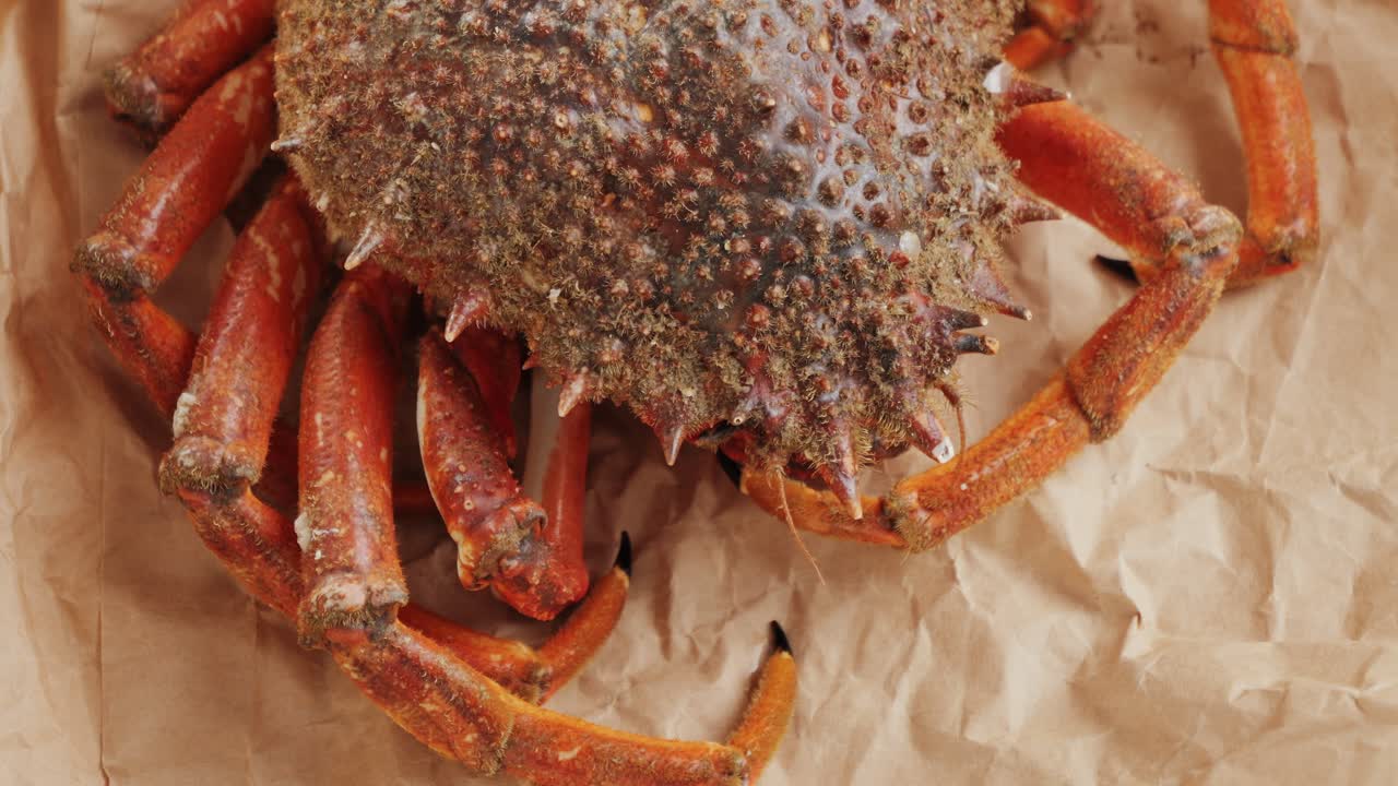 Freshly caught crab on brown paper