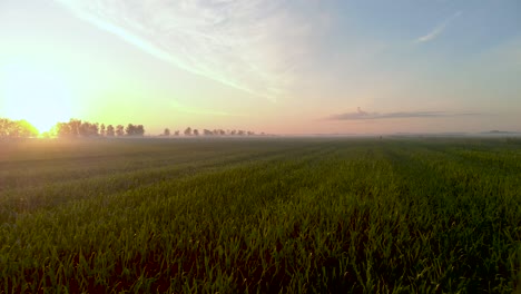 Golden-Hour-Sun-Rays-over-Crops-on-Agricultural-Farmland-in-Latvia---Aerial-Drone-Reveal