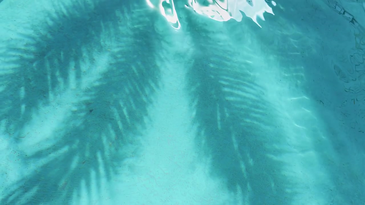 Palm Tree Shadow on Swimming Pool Water Surface