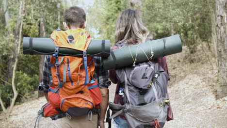 rear view of hikers carrying camping backpacks and walking through the woods