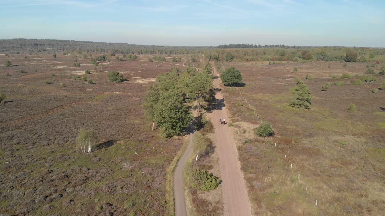 두 명의 말을 탄 라이더가 카메라를 백업하고 카메라를 향해 질주하는 황무지 헤더 필드의 넓은 공중 전망