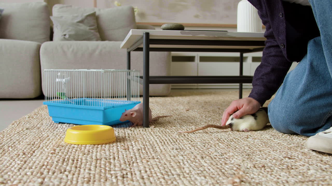 애완동물에게 먹이를 주는 남자