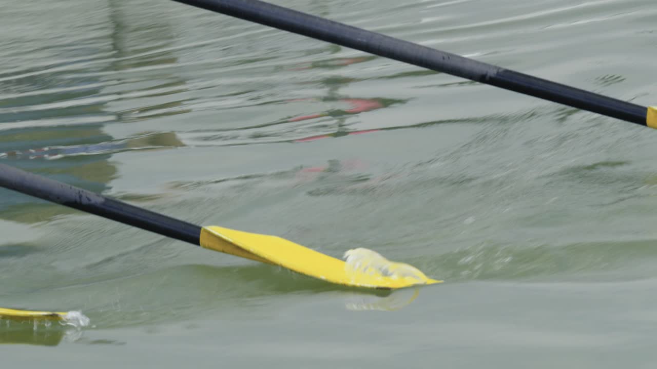 Close-up of the oars of a squad scull rowing boat lying loose in the water during the ride