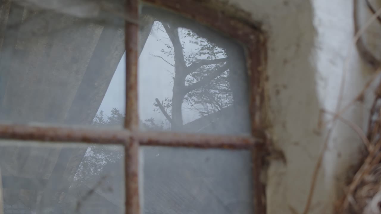 Riflesso dell'albero in una vecchia finestra arrugginita di un cottage 4K.