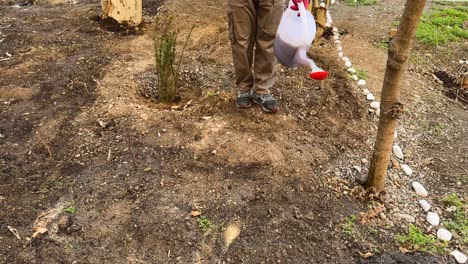 eco-friendly irrigation showering in tehran garden farmer watering tropical saplings urban landscape care with fertilizer fresh growth natural moisture botanical design blending nature and city life