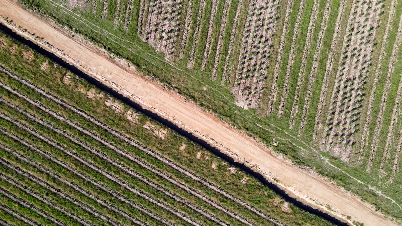 vista aérea de cómo se ve la reforestación