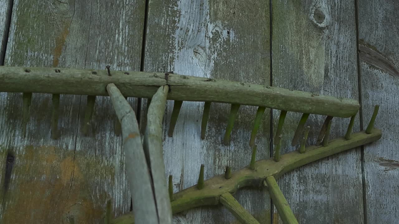 Gorgeous slowly panning footage of two old wooden brown and sligtly moss covered rakes leaning against a old barn or a shed wooden wall during a cloudy summer or autumn day. Rusty nails in the wood.