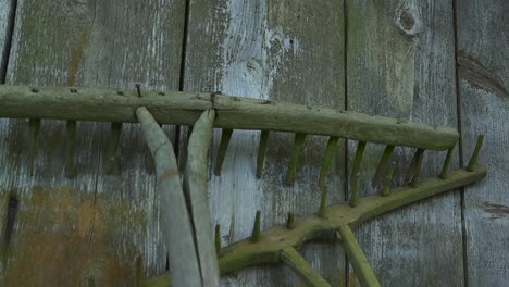 gorgeous slowly panning footage of two old wooden brown and sligtly moss covered rakes leaning against a old barn or a shed wooden wall during a cloudy summer or autumn day. rusty nails in the wood.