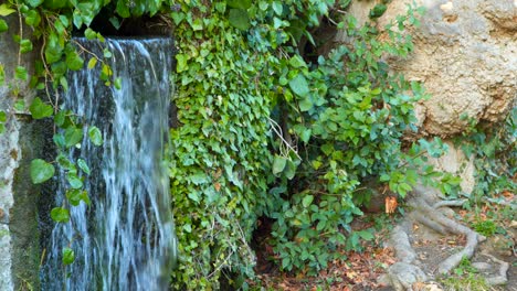 agua que fluye entre las piedras y fluye hacia abajo