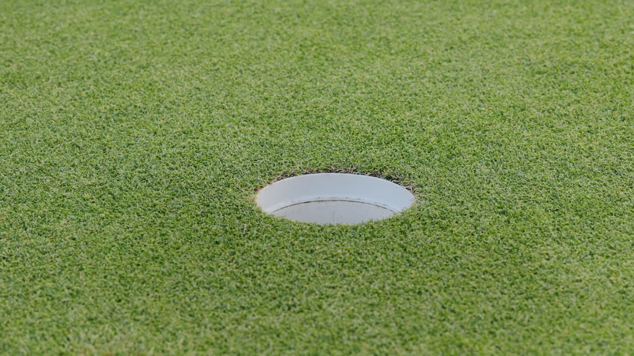 Golf Ball in the Hole