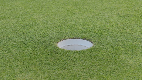 golf ball in the hole