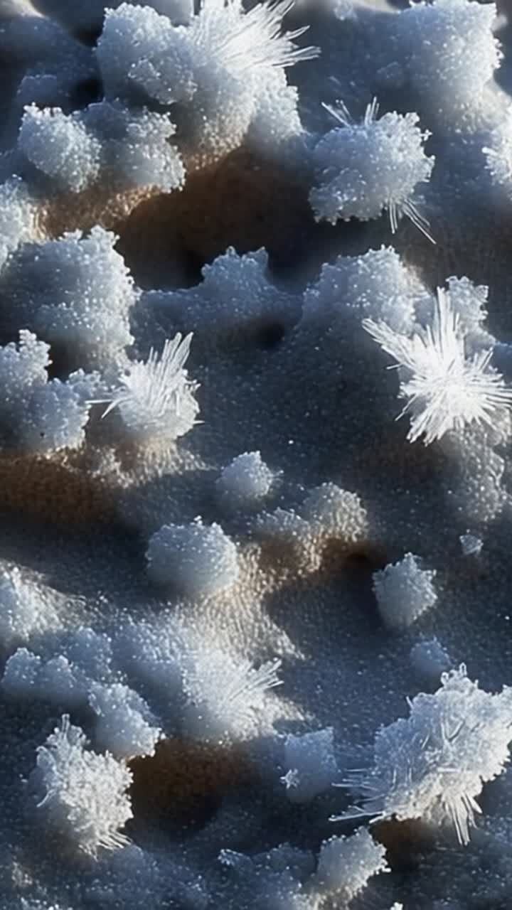 Splendido primo piano di una superficie coperta di brina che rivela intricati motivi e texture con cristalli di ghiaccio, trasformando paesaggi ordinari in meraviglie invernali.