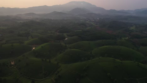 Aerial-view-of-Long-Coc-tea-hill,-Vietnam