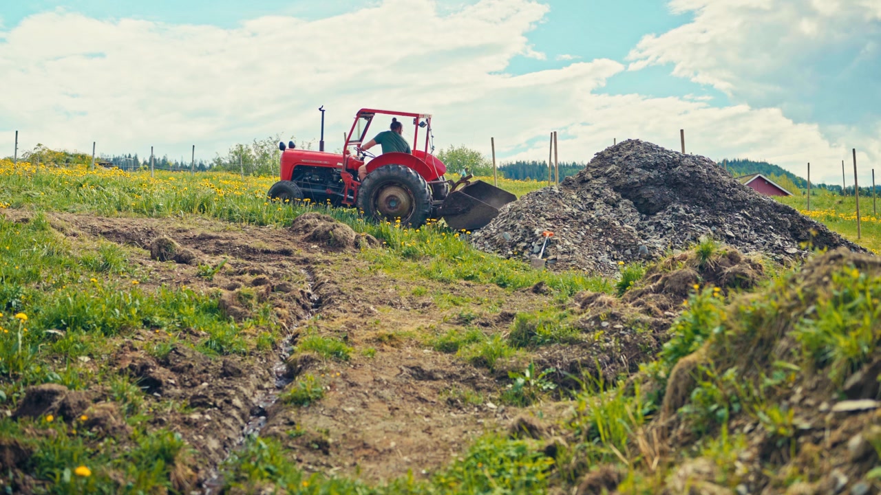 En Massey Ferguson 35 traktor med en bagmonteret skovl udfører læssearbejde udendørs på en landbrugsmark. Statisk optagelse