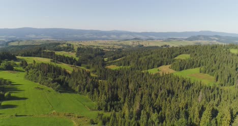 flying over the beautiful forest trees landscape panorama 49