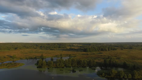 Aerial-landscape-with-woods-and-small-village