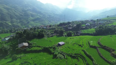 zoom in drone shot over vibrant green rice fields and scattered homes in the mountain valley of sa pa, northern vietnam.