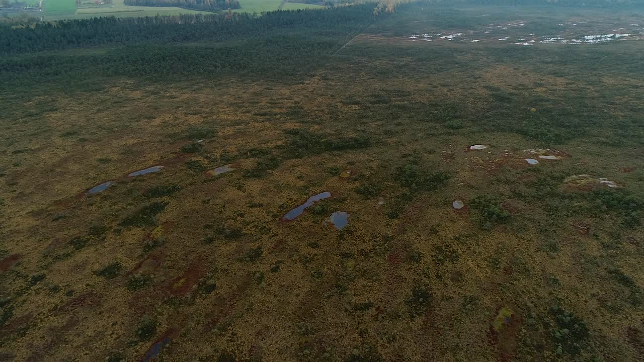 coloridos bosques estacionales y lago pantanoso en imágenes aéreas de otoño