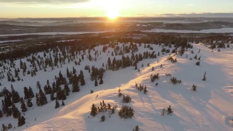 Aerial-view-of-winter-landscape-sunset-or-sunrise-with-yellow-sunburst,-stunning-fairy-tale-christmas-background-forest-and-sky-scene