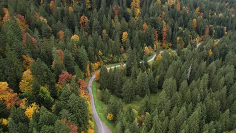 Alleinreisender-Wandert-Auf-Einer-Unbefestigten-Straße-Durch-Einen-Farbenfrohen-Herbstwald,-Die-Luft-Dreht-Sich