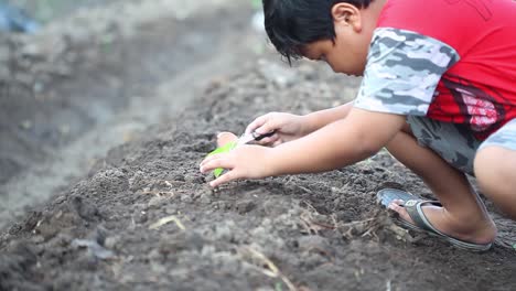 Niño-Pequeño-Planta-Un-árbol-Pequeño-En-El-Campo