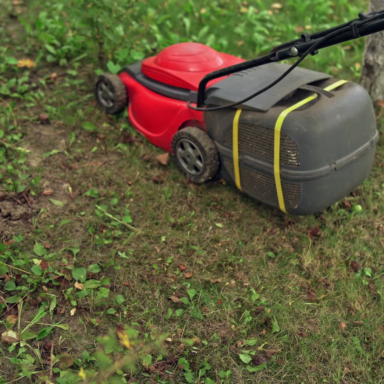 Lawn mowing in the garden