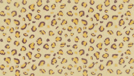 la animación de bucle de patrón de leopardo. el fondo es en 4k.