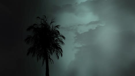 silhouette of a tree and lightning