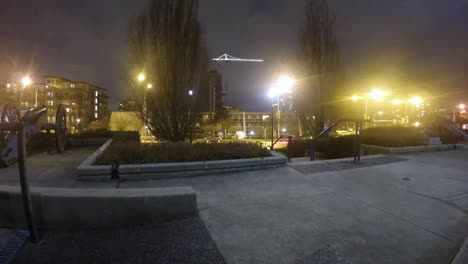 lapso de tiempo - vista de una calle muy transitada en la noche de un parque