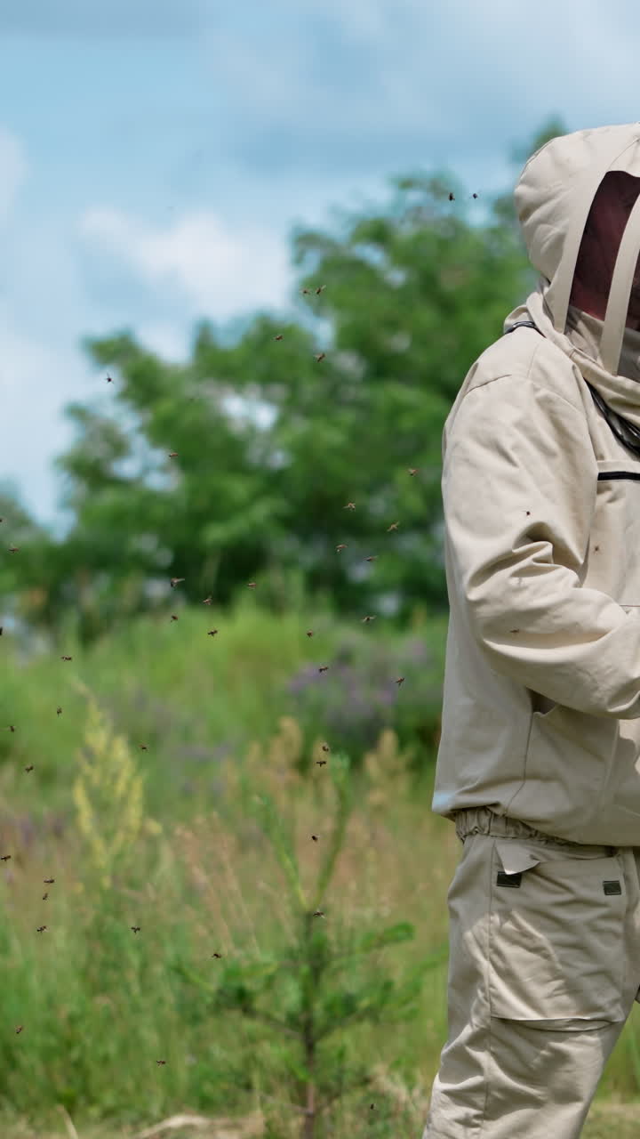 Outfitted apiculturist holds a frame coated with bees. Farmer shakes off the insects and goes away, bees following him. Man puts the frame into a wooden hive. Vertical video