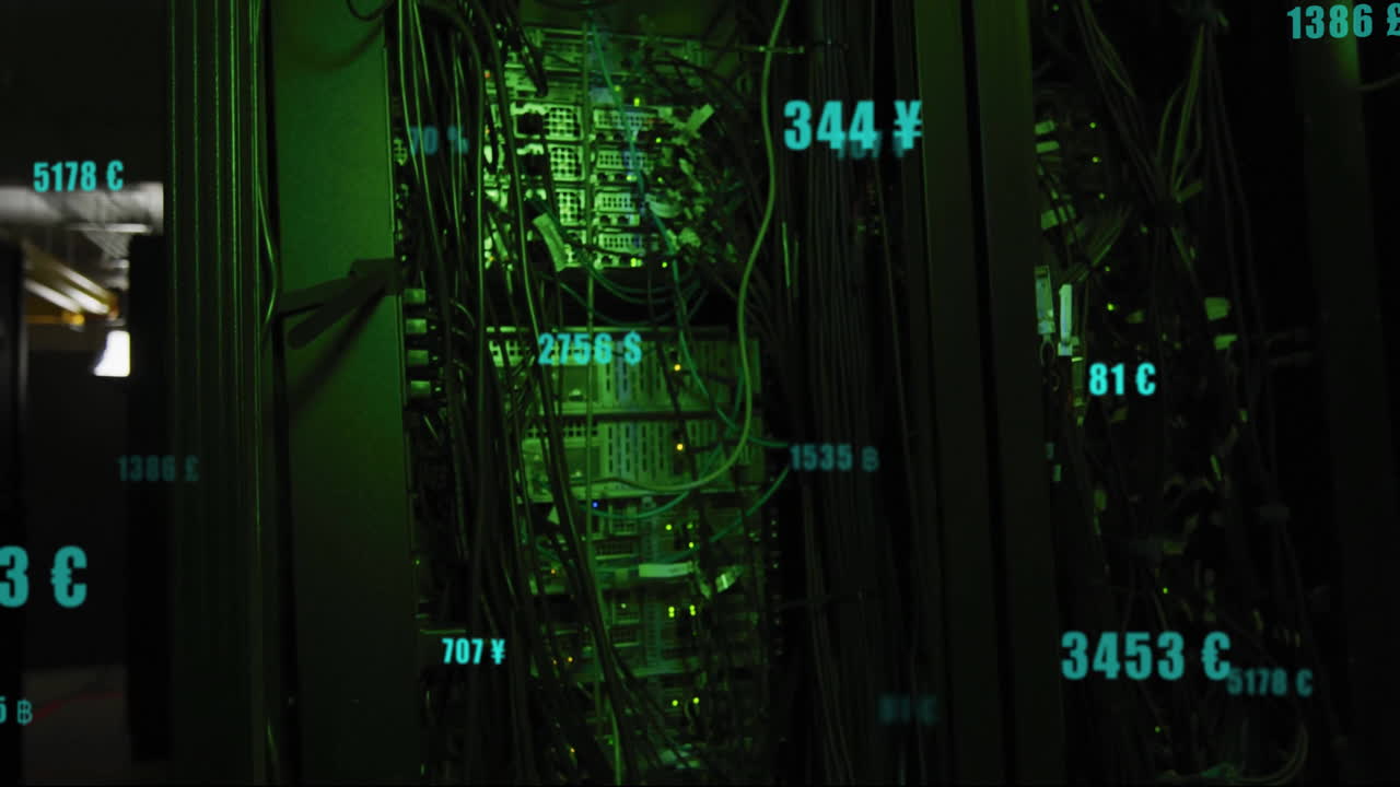 Animation of digital data processing over computer servers